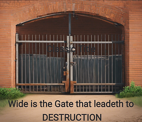 one wide dirty gate.png