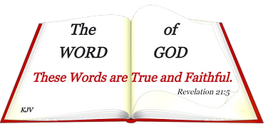 book-161128_1280_edited.png