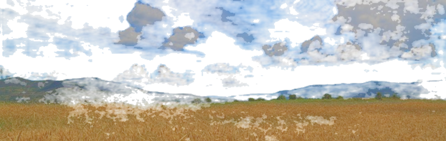wheat-3494280_640_edited_edited.png