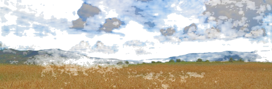 wheat-3494280_640_edited_edited.png