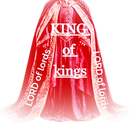 majestic-medieval-robe-exquisite-ensembl