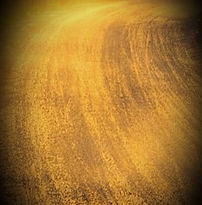 road-7400333_640_edited_edited_edited.jp