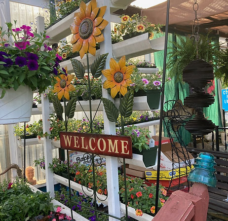 Joes greenhouse2 1.jpg