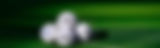 BannerImage_1.jpg.jpeg