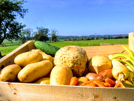 Homegrown and Local Produce