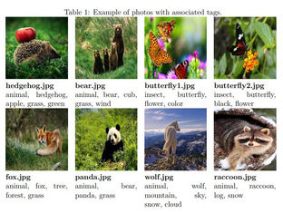 Photo Management Application Using Java