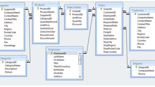 Database Assignment Using MS Access