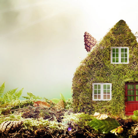 Eco-friendly Home Repairs and Renovations: Going Green in San Antonio