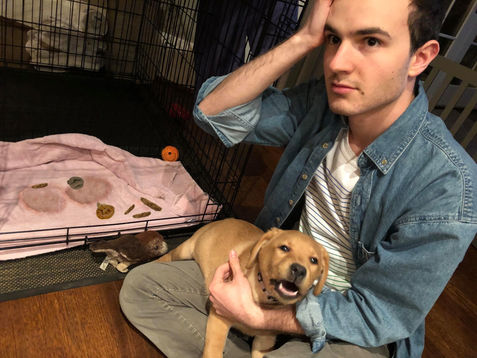 New De-Stressor Needs to be Tended to at All Times