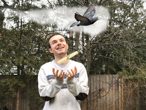 Medieval Studies Student Finally Receives Exam Marks Via Carrier Pigeon