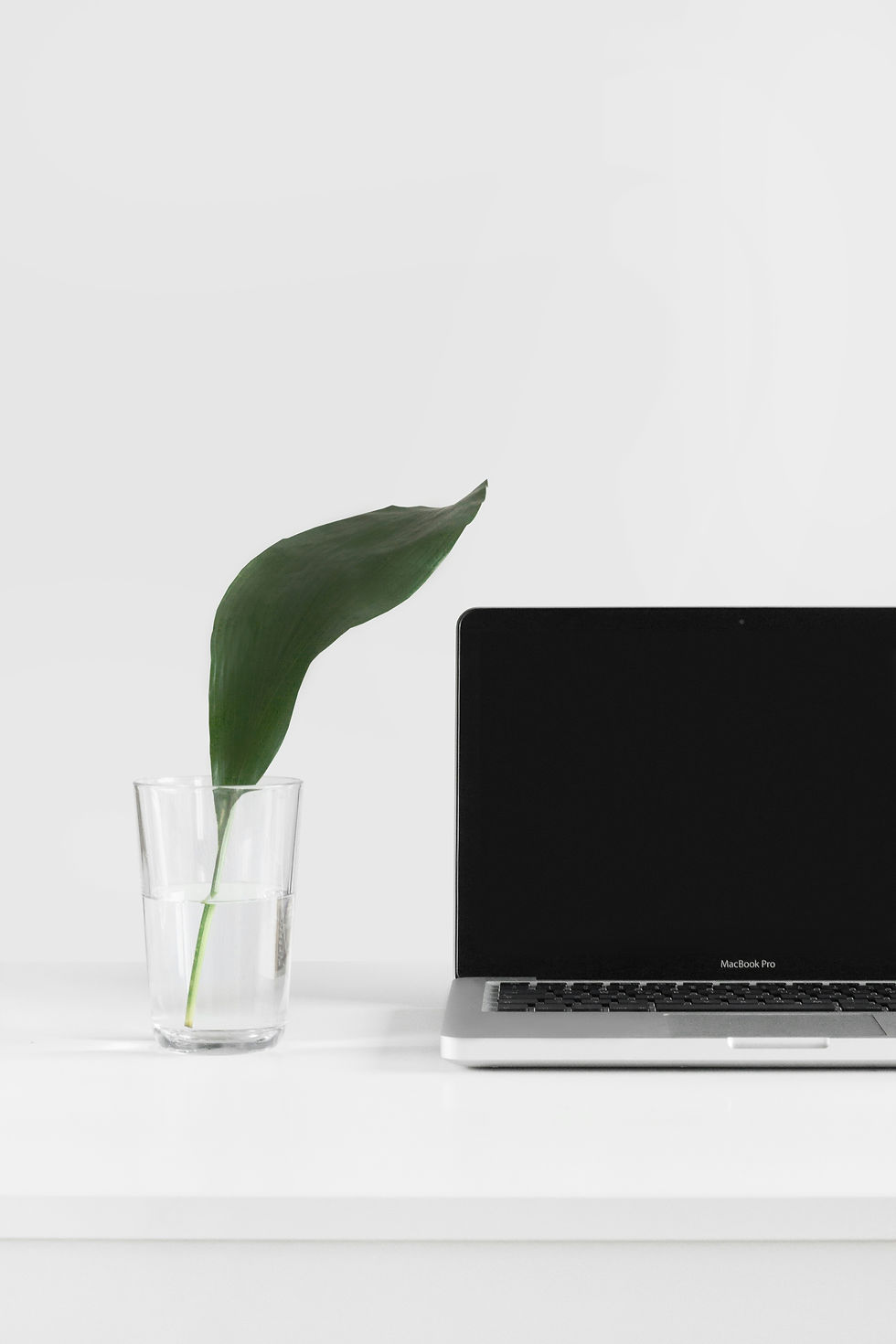 A laptop and leaf showing the scalability of eLearning