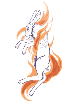 IMG_1347.png