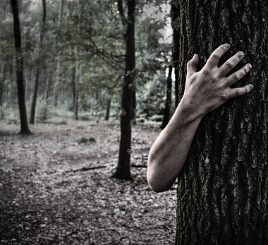 Man grabbing a tree_edited.jpg