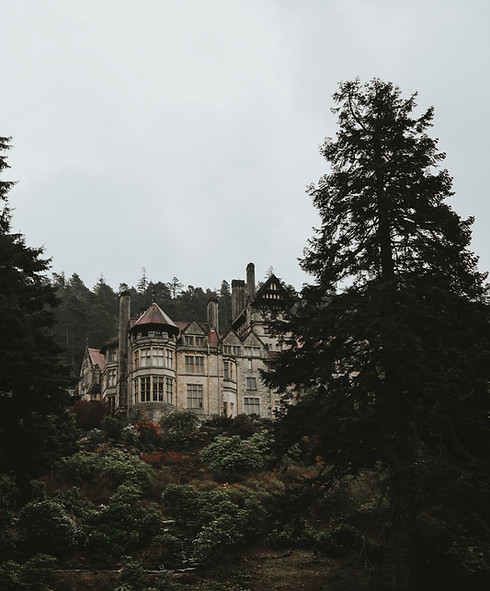 white and brown concrete building surrou