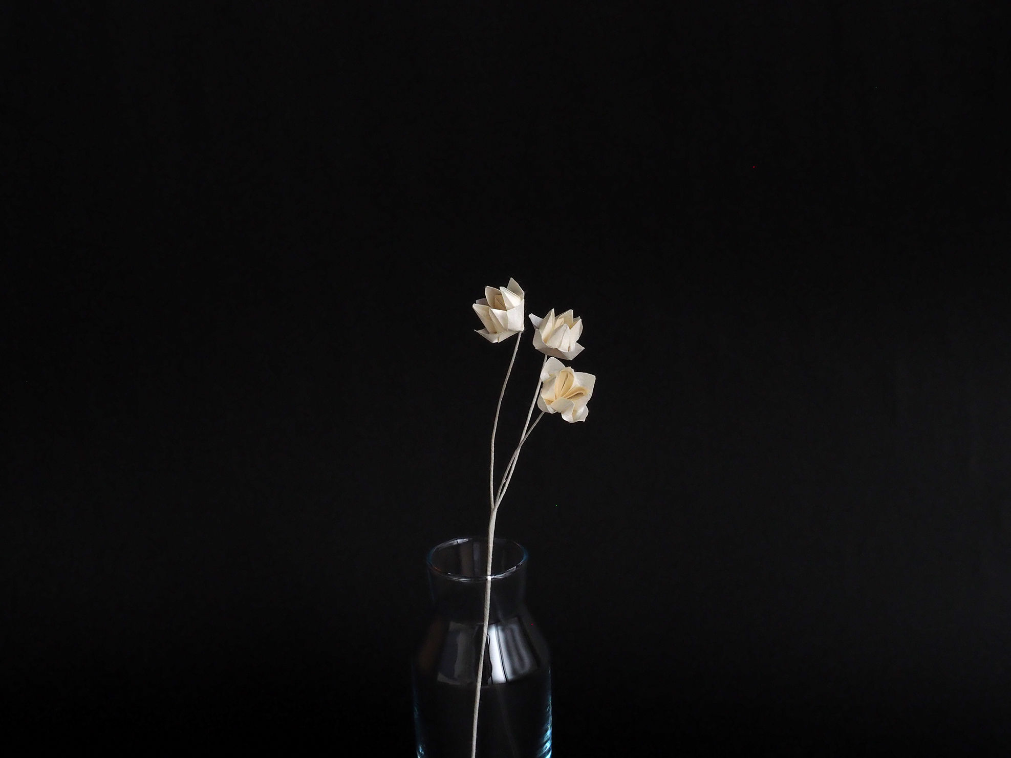 芙蓉