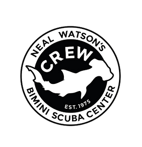 BSCLOGO.png