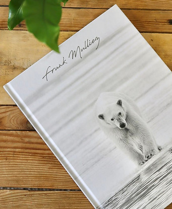 livre-photo-animaliere-le-touquet.jpg