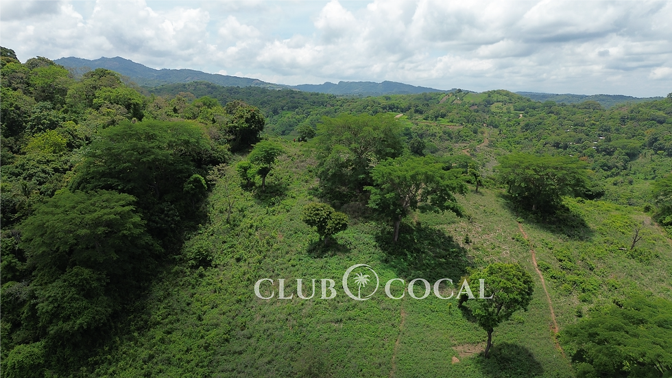 Huizúcar, El Salvador, showing lush slopes and distant blue ocean horizon.
