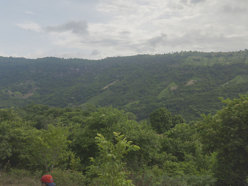 Exclusive oceanview property in El Zonte photographed from above, showing private access road, greenery, and blue coastal waters.