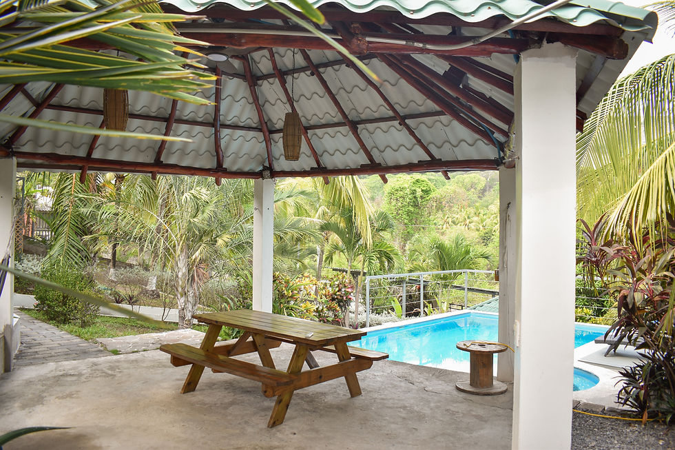 Poolside view of Atami property surrounded by tropical plants and coastal breeze.