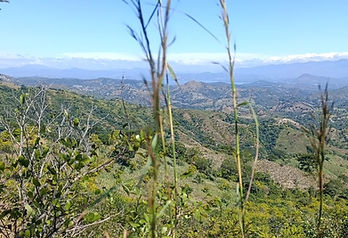 Land for Sale in El Salvador | Oceanview, Mountain & Eco Properties by Club Cocal Real Estate