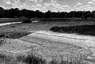 DVR Duck Pond 7_edited.jpg