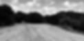 DVR_Pickleball_Project_Site_Prep_After_edited.jpg