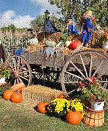 HAY RIDE.jpg