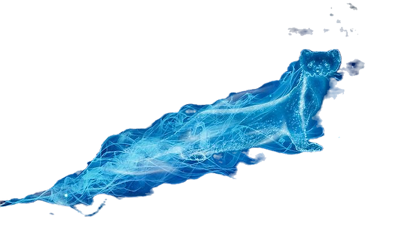 14a61ccf66d3eb0c69cccab0e9275598_edited.