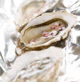 fishy torsk copy.png