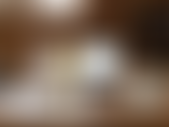 From Barn to Inbox: The AI Tools That Save Equestrian Professionals Hours