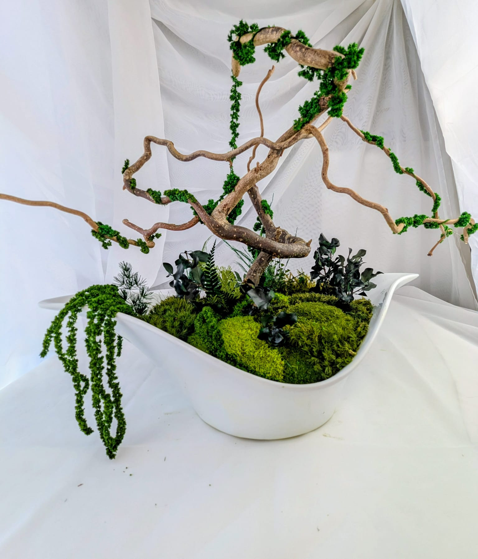 Forest Dance