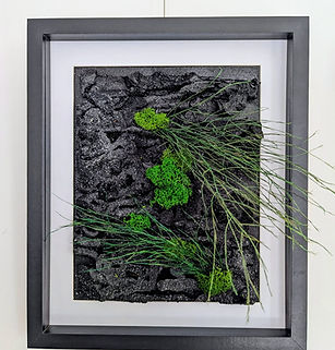 WhatsApp Image 2026-03-16 at 10.40.17 AM.jpeg