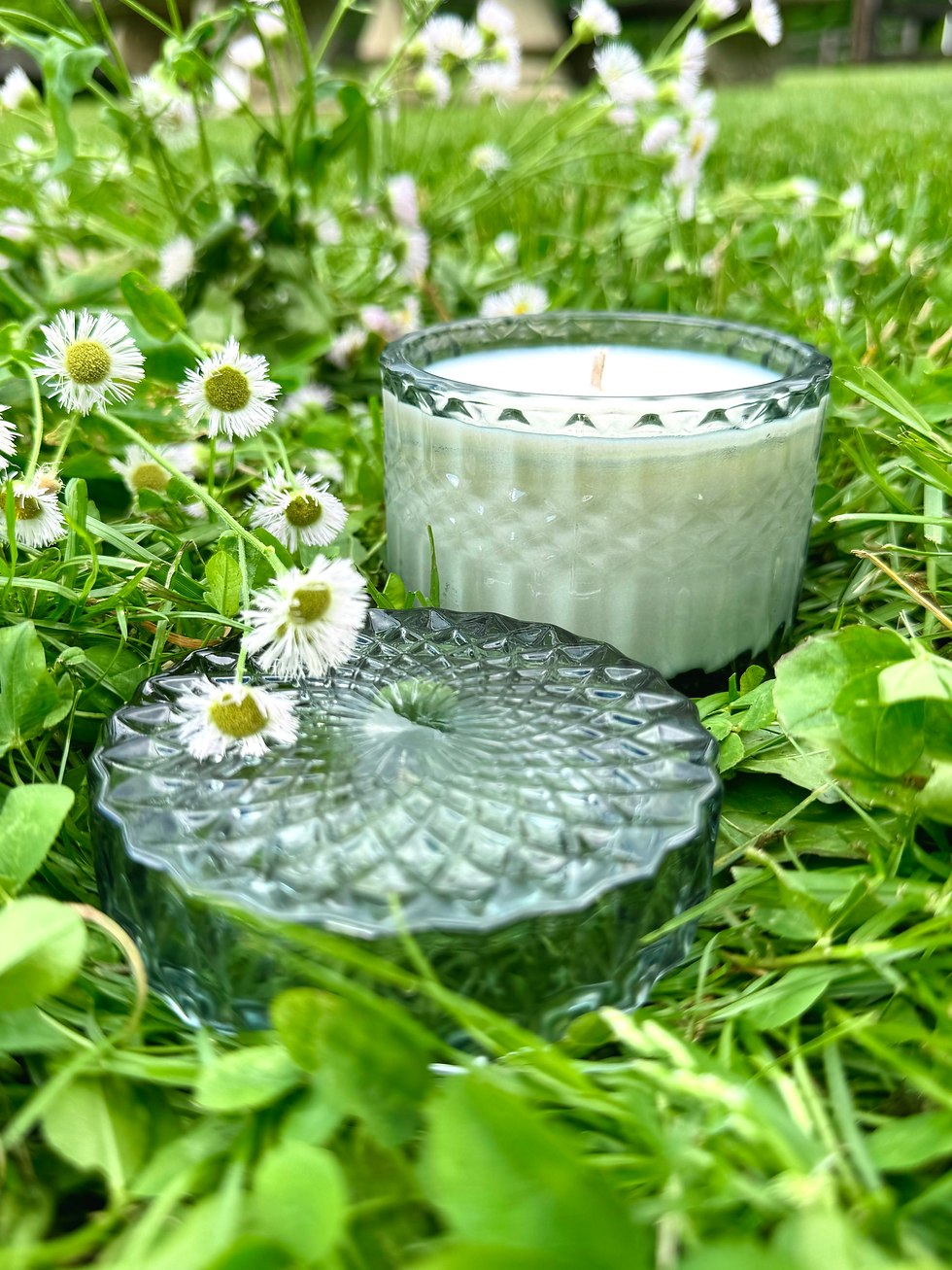 Thumbnail: Daisy Chain Daydream