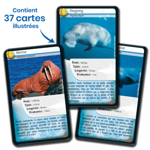 📸 Image Credit: @bioviva