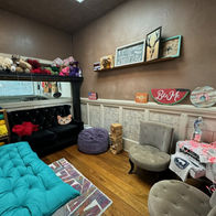 Cozy craft room with Biz-HIVE sign, turquoise futon, and yarn shelves.