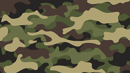 Green and brown camouflage pattern background.