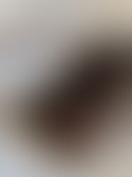 Rebag x Amazon: The Pre-Loved Plot Twist We Didn't See Coming