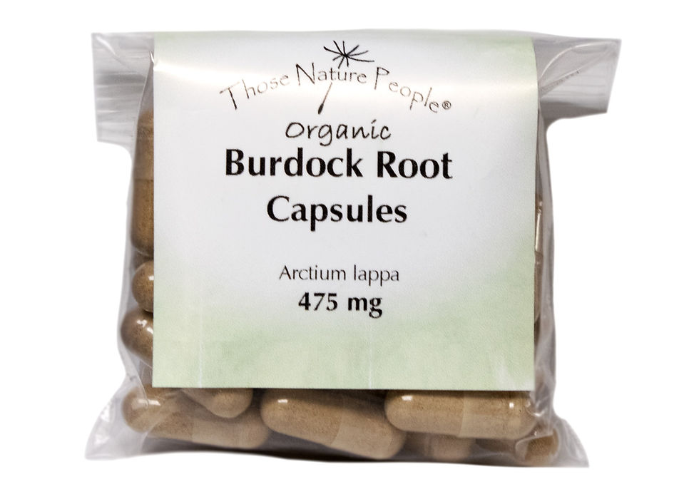 Burdock Root Capsules Facing front