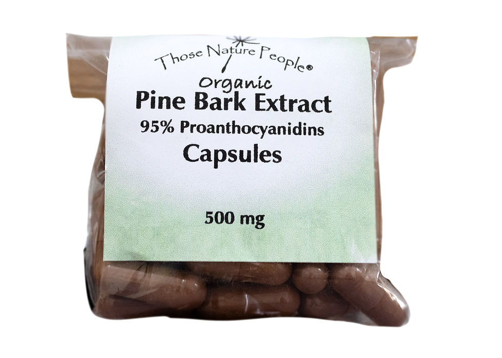 Pine Bark Extract Capsules facing the front