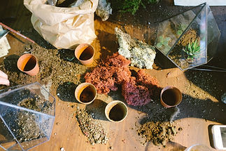 Pots & Soil
