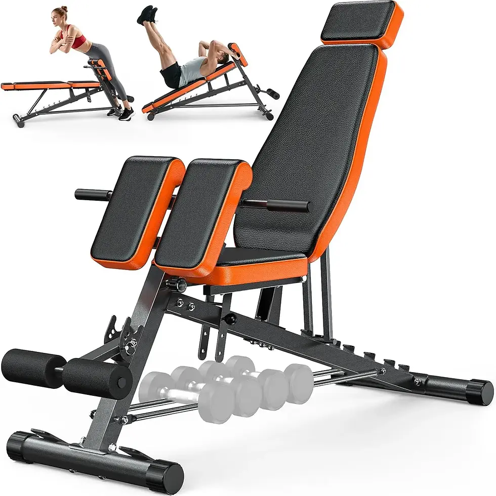XDDIAS Roman Chair Adjustable Weight Bench