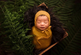 Tasha Sojka Photography
