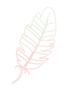 VEERKRACHT_VEER DEF2.jpg