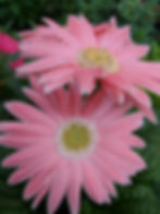 MVIMG_20180227_175536