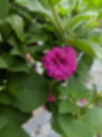 MVIMG_20180227_175746