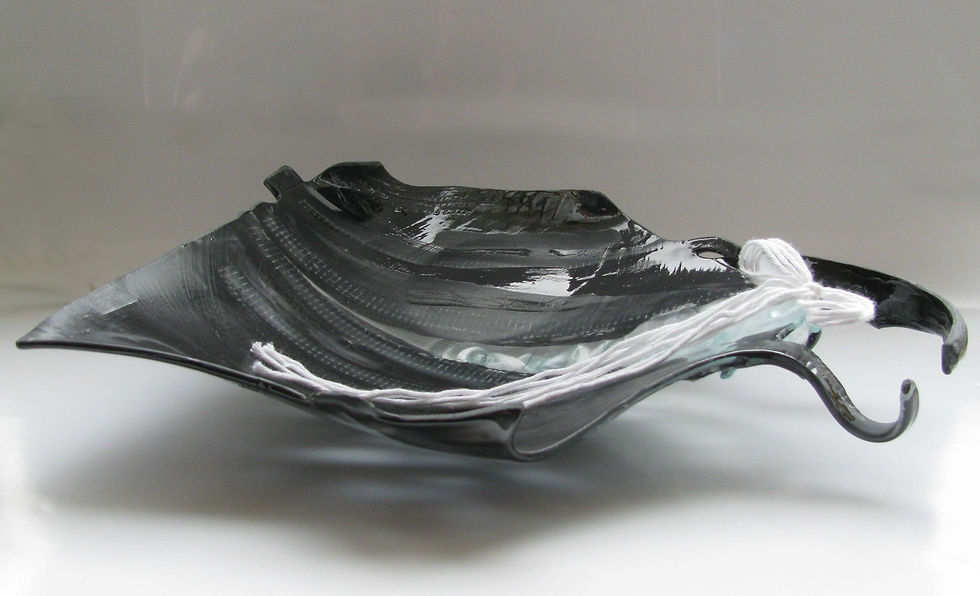 Patera TORBA