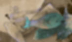 patu 3.jpg