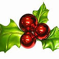 holly and berries.jpg