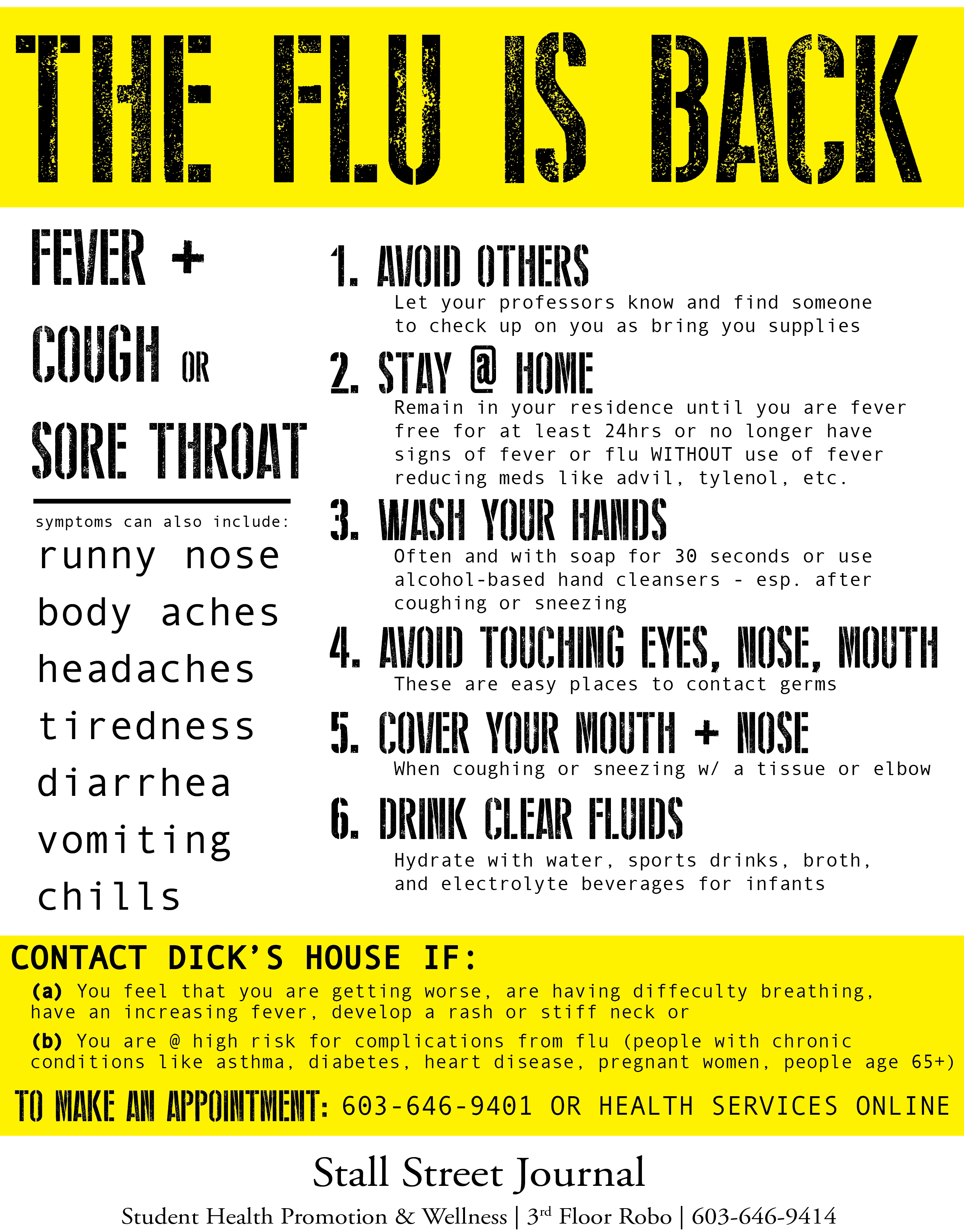 Flu is Back Journal